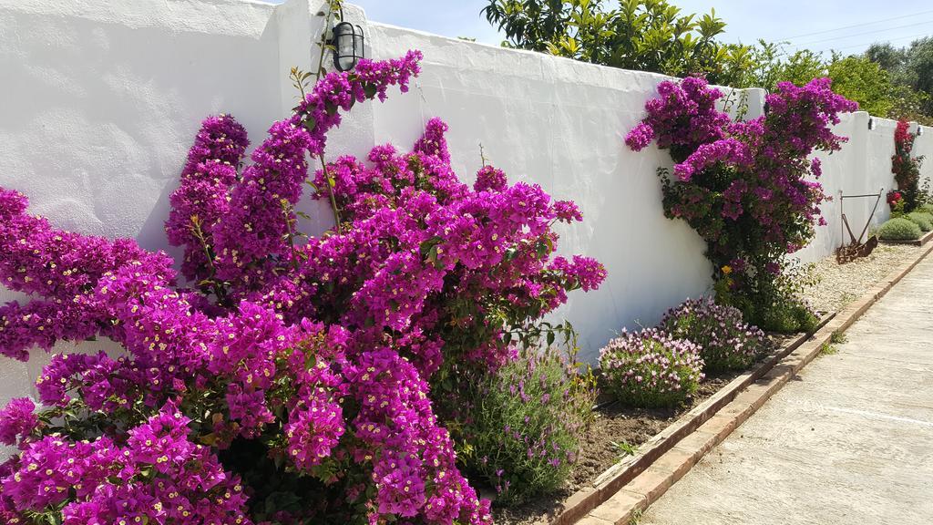 La Posada Del Duende Arcos de la Frontera Esterno foto